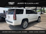 2019 Cadillac Escalade Platinum